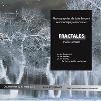 « Fractales - Haïkus visuels » de Julie Turconi