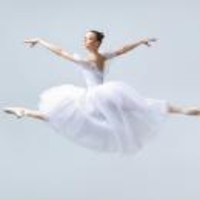 National ballet of canada company