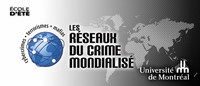 Les réseaux du crime mondialisé : cybercrimes, terrorismes, mafias 