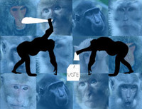 Les sociétés animales: Tous primates, mais pas tous démocrates!