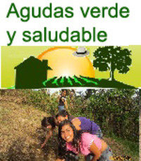 Conférence: «L’agriculture urbaine dans les petits villages en Colombie: Le projet Aguadas verte et en santé»