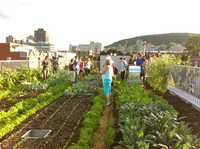 5e édition de l'École d'été sur l'agriculture urbaine
