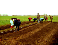 Séminaire: «De l'agriculture urbaine et à l'agriculture périurbaine»