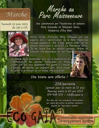 Marche d'identification des plantes médicinales au Parc Maisonneuve/ 4 heures de pur plaisir.