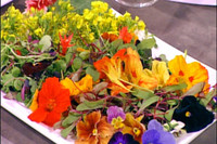 Atelier découverte sur les fleurs comestibles 
