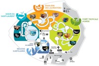 Écosystèmes du Biodôme de Montréal