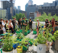 9e École d'été sur l'agriculture urbaine de Montréal : Agriculture urbaine, outil de réappropriation de la ville et du système alimentaire
