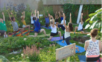 Yoga au jardin