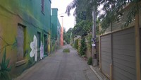 Green Alleys : You Can Do It! (Adultes)