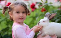 Activité sautée avec lapins : spécial Pâques