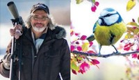 Les oiseaux de Montréal et regard particulier sur ceux du parc Lacoursière