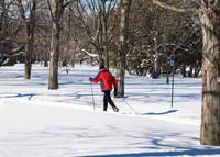 Visiter le Jardin botanique en hiver