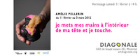 Amélie Pellerin - je mets mes mains à l’intérieur de ma tête et je touche. @ Diagonale