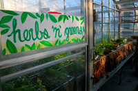 Concordia Greenhouse
