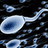 Spermatozoïdes: pas juste une question de nombre