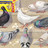 Balade - Écologie des pigeons