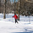 Visiter le Jardin botanique en hiver