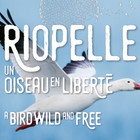 Riopelle - Un oiseau en liberté