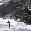 Ski de fond au Jardin botanique de Montréal